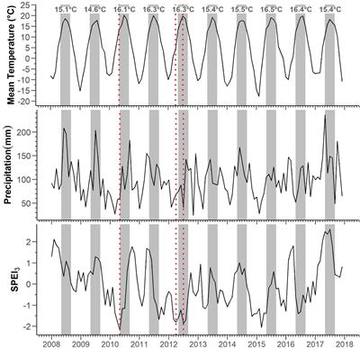 Contrasting Carbon Allocation Strategies of Ring-Porous and Diffuse-Porous Species Converge Toward Similar Growth Responses to Drought